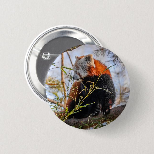 Red panda button (Front & Back)
