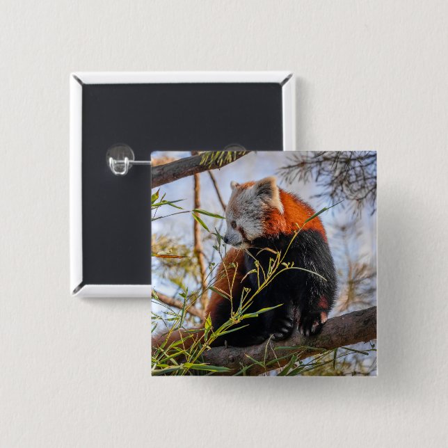 Red panda button (Front & Back)