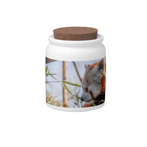 Red panda candy jar