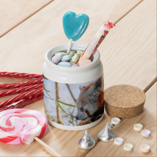 Red panda candy jar
