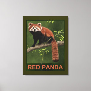 Red Panda Canvas Print