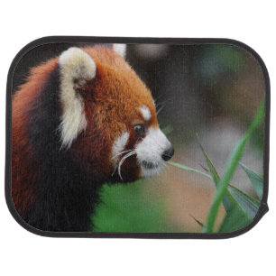 Red panda car mat