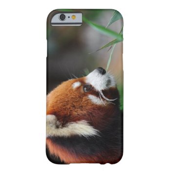 Red Panda Barely There Iphone 6 Case by wildlifecollection at Zazzle