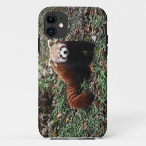 Red panda iPhone 11 case