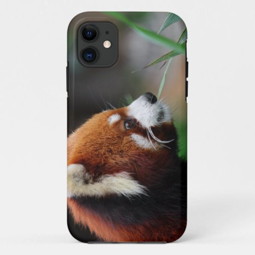 Red panda iPhone 11 case