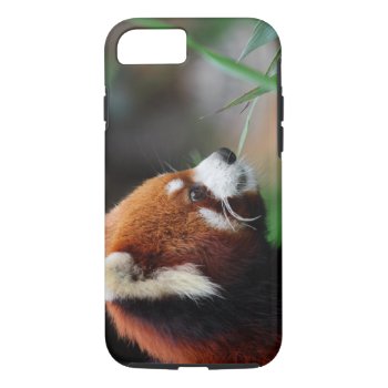Red Panda Iphone 8/7 Case by wildlifecollection at Zazzle