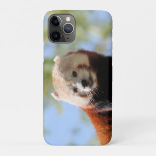 Red Panda iPhone 11 Pro Case