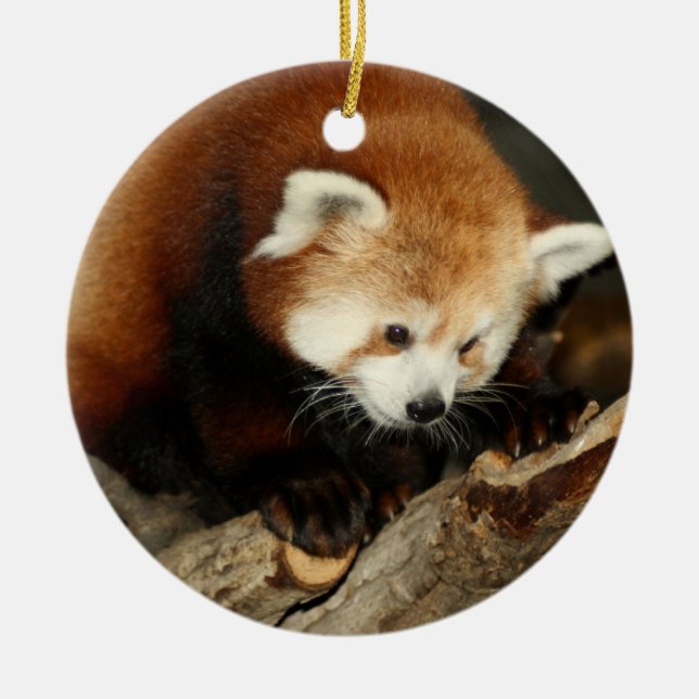 Red Panda Ceramic Ornament (Front)
