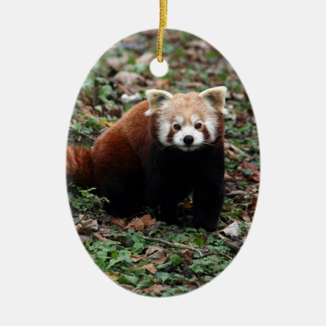 Red Panda Ceramic Ornament (Front)