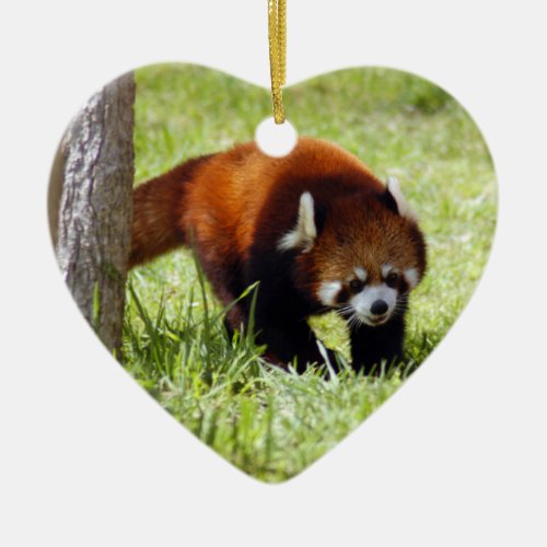 Red Panda Christmas Ornament