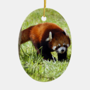 Red Panda Christmas Ornament