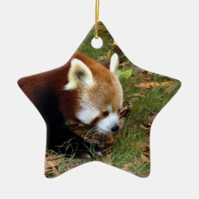 Red Panda Christmas Ornament