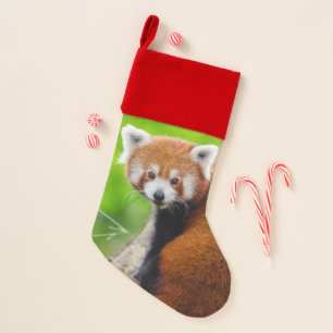 Red Panda Christmas Stocking