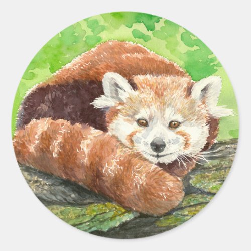 Red panda classic round sticker