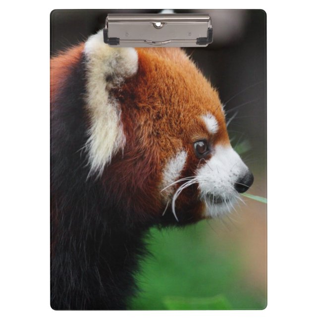 Red panda clipboard (Front)