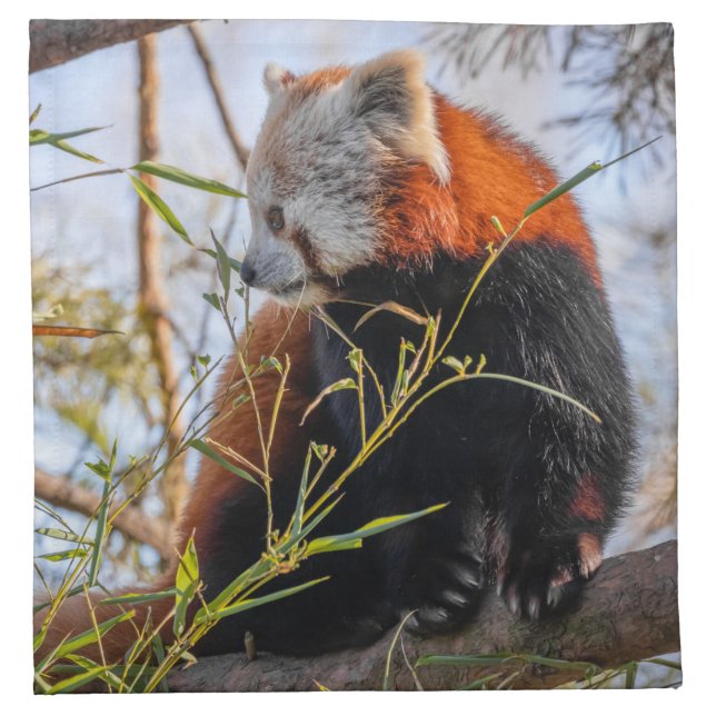 Red panda cloth napkin (Front)