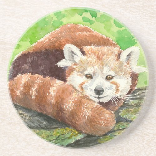 Red panda coaster