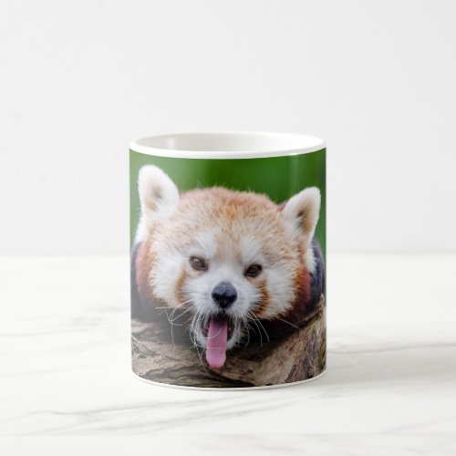 Red Panda Coffee Mug