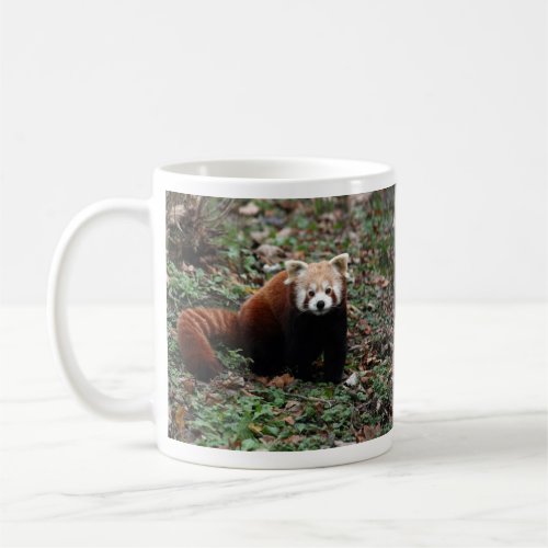 Red Panda Coffee Mug