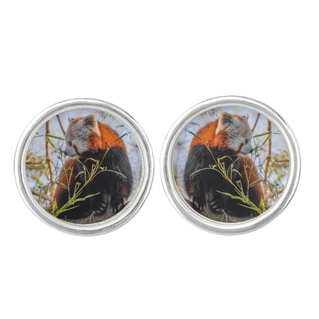 Red panda cufflinks (Front)