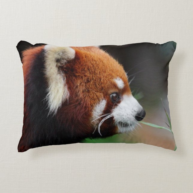 Red panda decorative pillow (Front)