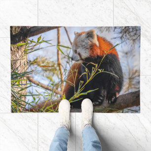 Red panda doormat