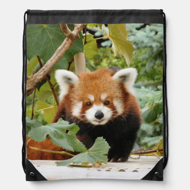 Red Panda Drawstring Bag (Front)