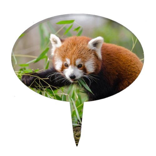 Red Panda Eating Green Leaf Cake Topper