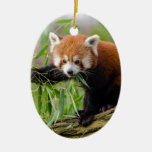 Red Panda Eating Green Leaf Ceramic Ornament at Zazzle