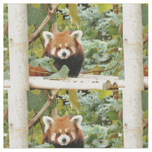 59 Furry Red Panda Gifts On Zazzle