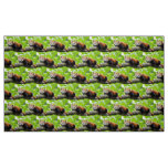 Red Panda Fabric