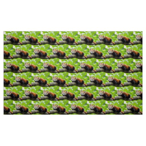 Red Panda Fabric