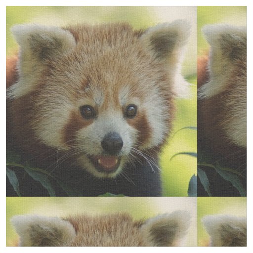 red panda fabric