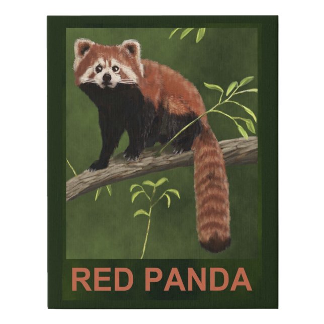 Red Panda Faux Canvas Print (Front)