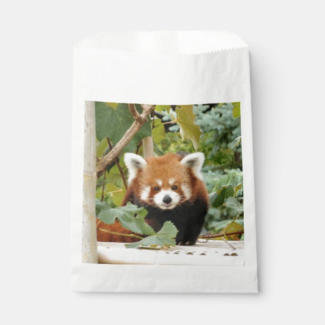 Red Panda Favor Bag (Front)