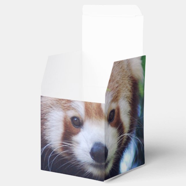 Red Panda Favor Boxes (Opened)