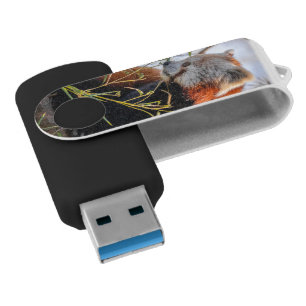 Red panda flash drive
