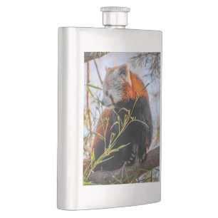 Red panda flask