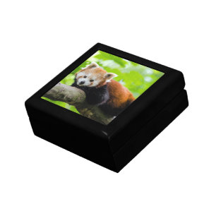Red Panda Gift Box