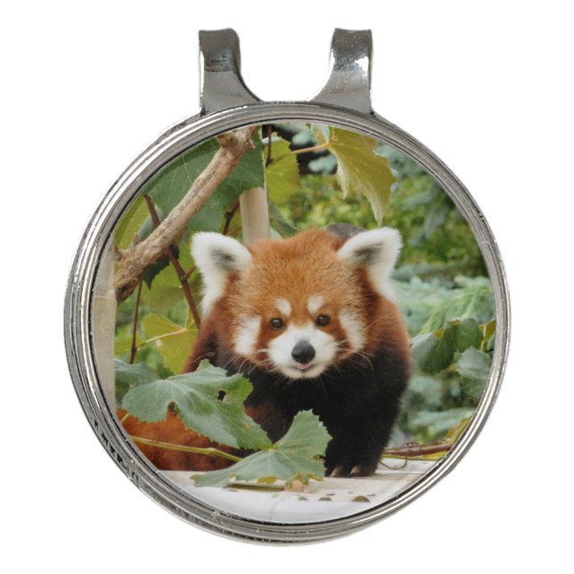 Red Panda Golf Hat Clip (Front)