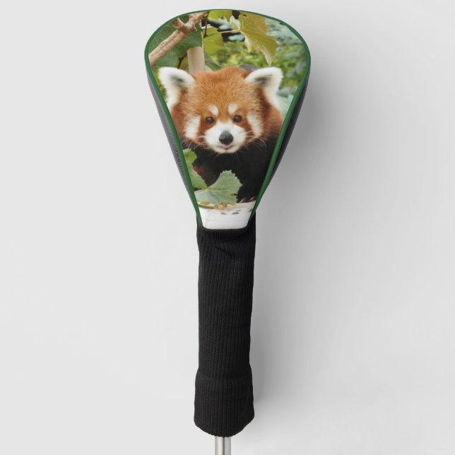 Red Panda Golf Head Cover (Front)