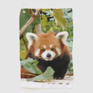Red Panda  Golf Towel