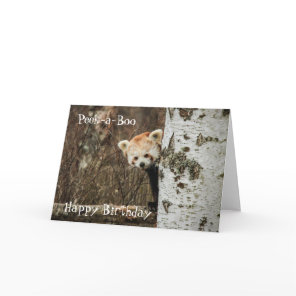 Red Panda Happy Birthday Card