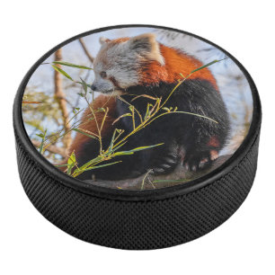 Red panda hockey puck