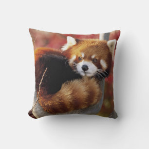 Red Panda In a Tree Throw Pillow