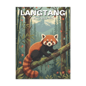 Red Panda in Langtang National Park Nepal Postcard
