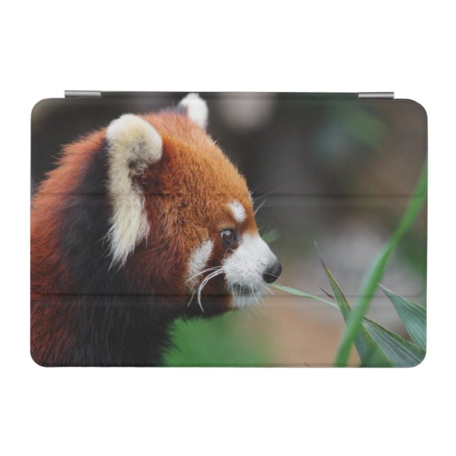 Red panda iPad mini cover (Horizontal)