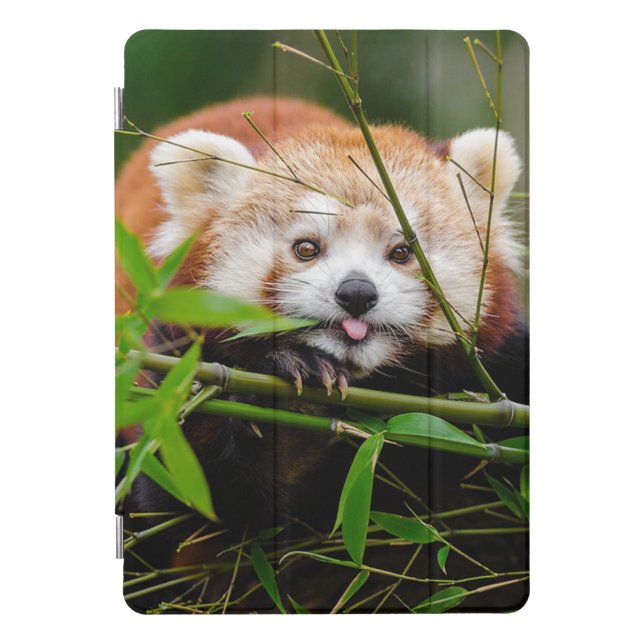 Red Panda iPad Pro Cover (Front)
