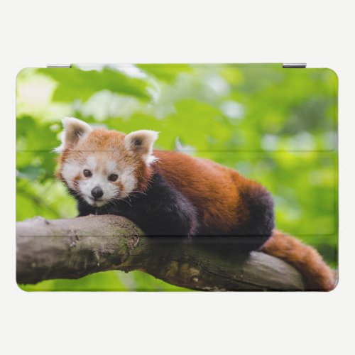 Red Panda iPad Pro Cover