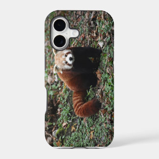 Red panda iPhone 17 case